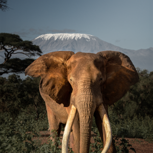 Hadley Harbison Feb 2026